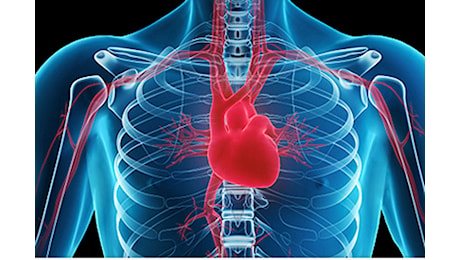 Giornata Mondiale del Cuore, screening cardiologici gratuiti al centro commerciale La Torre