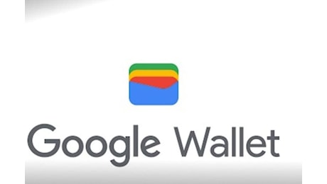 Google Wallet, aggiunta una spettacolare funzione: da oggi puoi davvero farlo, utenti in delirio