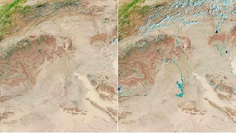 Piogge e cicloni: se qui è il disastro, il Sahara in due giorni diventa un prato