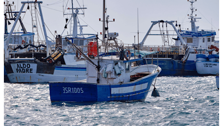 Dal governo uno strumento utile per l’accesso al credito del settore pesca