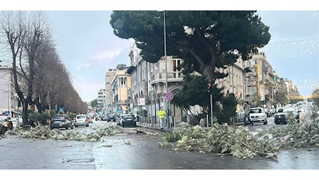 Messina e provincia nella bufera: strade chiuse e impraticabili, pali crollati e rami spezzati dal vento