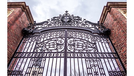 C'è chi dice no: la ribellione dell'Università di Harvard alla linea Trump
