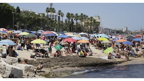 Bari, spiagge piene e seggi vuoti: l'affluenza per il ballottaggio molto bassa anche per il caldo