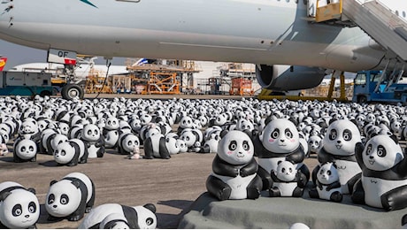 Perché 2500 sculture a forma di panda hanno invaso un aeroporto