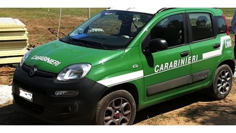 Incidente di caccia in Sardegna, vittime 2 giovani