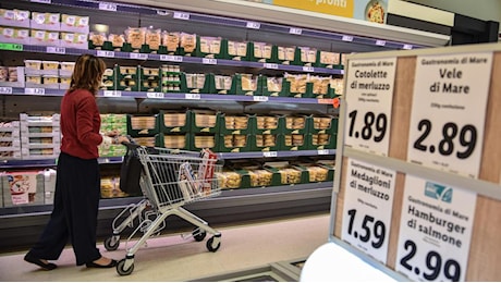 Supermercati a Natale e Santo Stefano, dove fare la spesa in Toscana