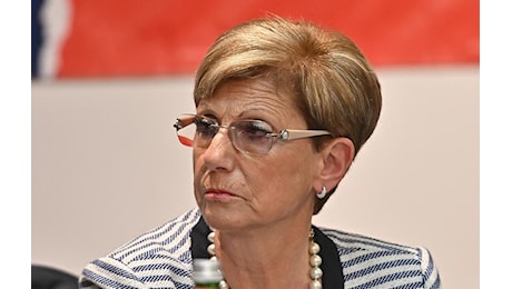 Rinnovo Rsu, lo Snals si spenderà per i precari, rinnovo del Ccnl 2022/24, norme migliori: le parole di Elvira Serafini